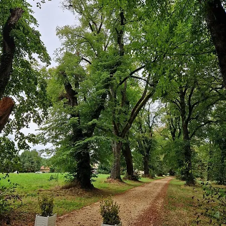 Hotell Chateau De La Reynerie